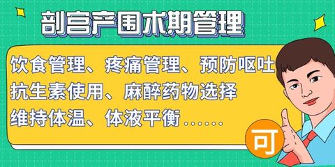 現(xiàn)代餐飲管理的核心要素與實(shí)踐策略